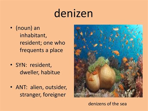 inhabitant noun .